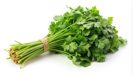 Close-up of fresh coriander bunch isolated on white background