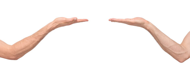Two sides of a male hand with palm up, gesture of holding or lying an object on the palm, isolated on transparent background, png file. Business, sales, advertising, product