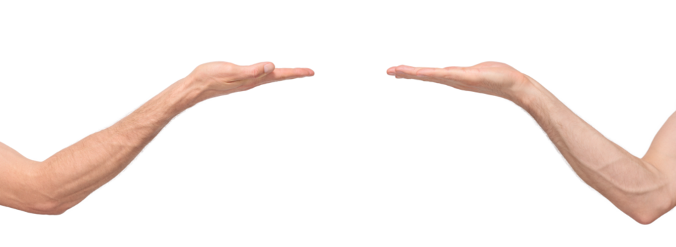 Two sides of a male hand with palm up, gesture of holding or lying an object on the palm, isolated on transparent background, png file. Business, sales, advertising, product