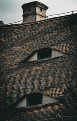 The building's roof, with its whimsical design, is covered with dark, weathered tiles arranged in a pattern that creates the illusion of two large, expressive eyes. Arched windows are similar to eyes.