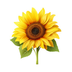 Obraz premium Bright Yellow Sunflower With Green Leaves In Full Bloom Isolated On Transparent Background