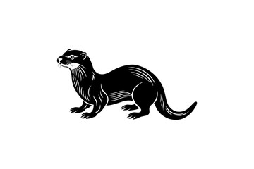 black and white horse