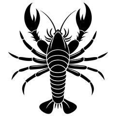 scorpion isolated on white