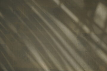 shadow of leaves on the wall