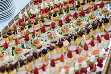 A large selection of various snacks for guests on a mirror surface. Buffet before an important event