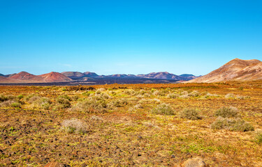 Volcanic landscape, Timanfaya National Park, Island Lanzarote, Canary Islands, Spain, Europe.