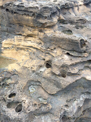 Sea Side Stones with holes made by Wrinkled Rock Borers