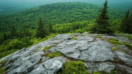 A rocky mountaintop overlooking a lush green forest on a hazy day.