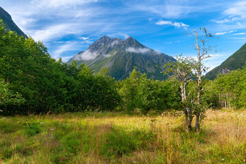 A breathtaking view reveals a towering mountain shrouded in clouds, surrounded by lush trees and...