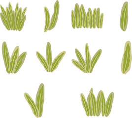 Abstract fern grass leaves bush illustration for garden and nature landscape.