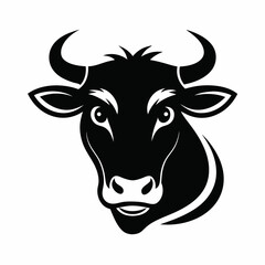 Fototapeta premium cow