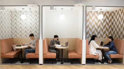 Multiethnic freelancers working in separate booths in modern freelance co-working office space, sitting at workplace tables divided by walls, using laptop, smartphone, meeting, talking