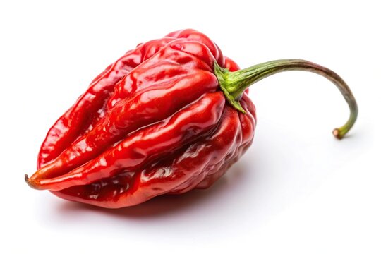 Close-up of red chilli or naga morich peppers isolated on white background in fisheye perspective