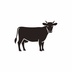 Fototapeta premium cow