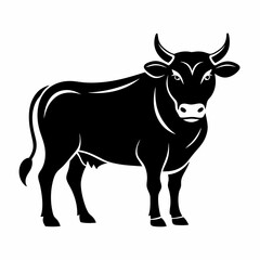 Fototapeta premium cow
