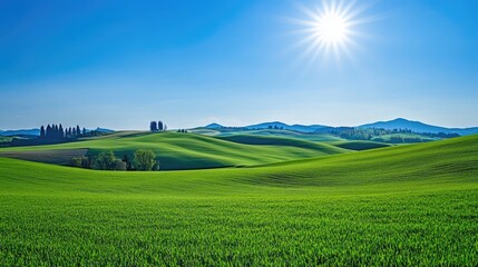 Fototapeta premium Serene Sunlit Green Field Under Clear Blue Sky