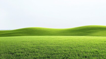 Vibrant Green Pasture with Wide Open Spaces