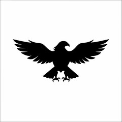 Fototapeta premium Eagle 