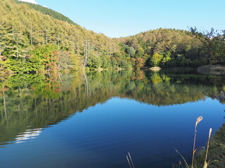 森と湖 PA121690