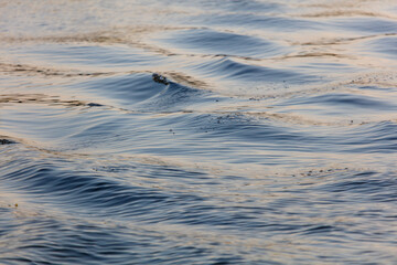 The water is calm and the waves are small