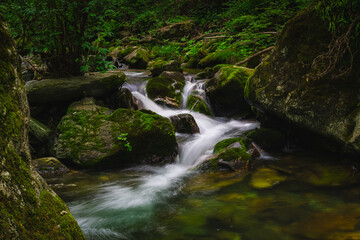 waterfall in the forest