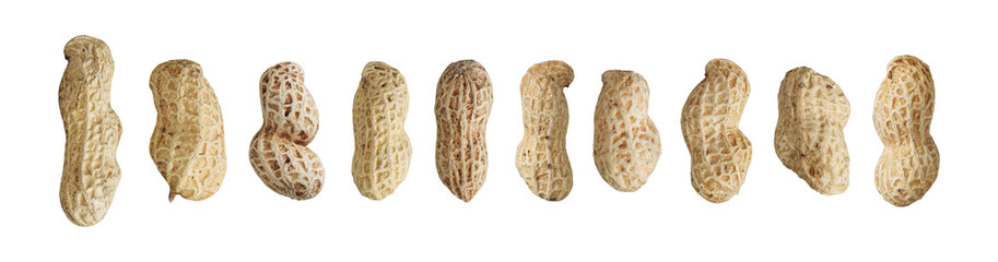 set of peanut isolated