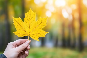 Hand Holding Yellow Maple Leaf With Heart Cutout