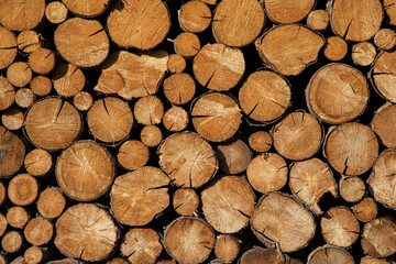 stack of firewood in Corvara in Alta Badia, Dolomites , Trentino, Alto Adige, Sudtirol, South Tyrol, Italy	