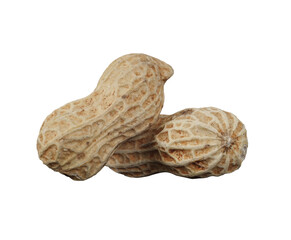 two peanuts isolated
