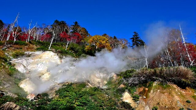 大雪高原温泉沼 大雪山 高根ヶ原のふもとに点在する沼や池をめぐる、秋の紅葉 春の水芭蕉が美しい