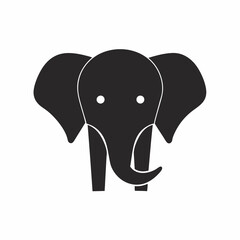 Fototapeta premium Elephant 