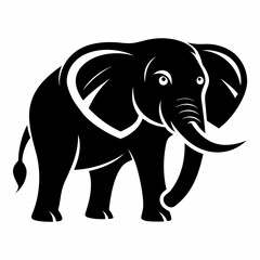 Obraz premium Elephant 