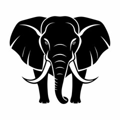 Fototapeta premium Elephant 