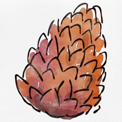 水彩 秋を彩る、松ぼっくりのおしゃれな手描きイラスト