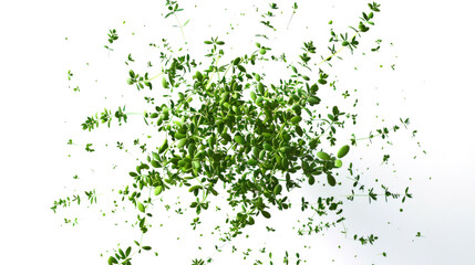 An explosion of green fragrant thyme branches in the air on a white background. Bunches of green thyme leaves are scattered throughout the image. The leaves are of different sizes and shapes