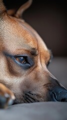 Obraz premium A tight shot of a dog reclining on a bed, its head atop the pillow