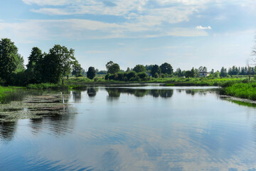Fototapeta premium Nature scene with river and green river banks covered with grass and trees and blue cloudy sky refection in calm water surface. Summer time mood.