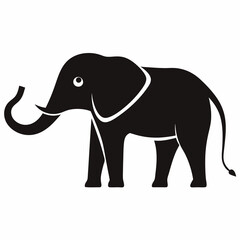 Obraz premium Elephant