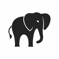 Fototapeta premium Elephant