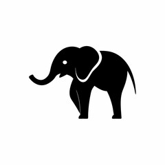 Fototapeta premium Elephant