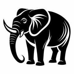 Fototapeta premium Elephant