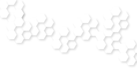 Abstract white minimal hexagon, modern abstract vector polygonal pattern. Futuristic abstract honeycomb technology white background. Luxury white hexagon pattern.