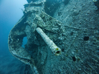 SS Thistlegorm Wreck Underwater Anti Aircraft Gun at the Stern in the Red Sea, Egypt