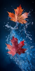  A few leaves gently bobbing on a tranquil body of water, with small splashes at their undersides from the water's surface ripples