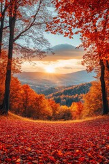 Fototapeta premium A autumn, background picture with warm and bright colors.