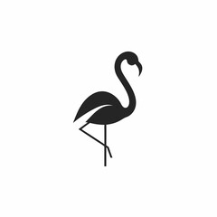 Fototapeta premium FLAMINGO