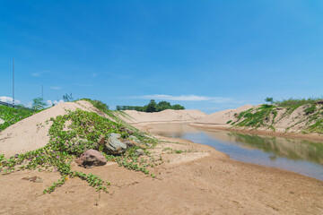 River to the Sea: Coastal Sandscape and Vegetation