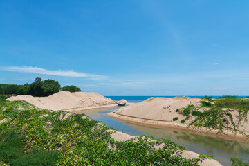 River to the Sea: Coastal Sandscape and Vegetation