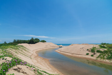 River to the Sea: Coastal Sandscape and Vegetation