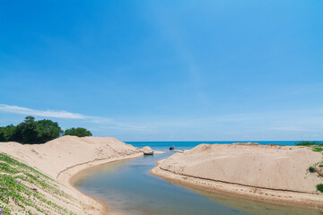 River to the Sea: Coastal Sandscape and Vegetation